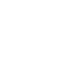 Experienced Professionals